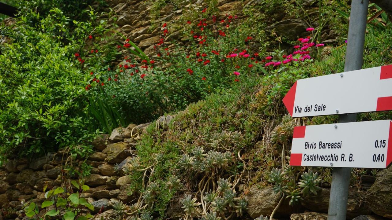 La Libellula Rossa Bed & Breakfast Erli Luaran gambar